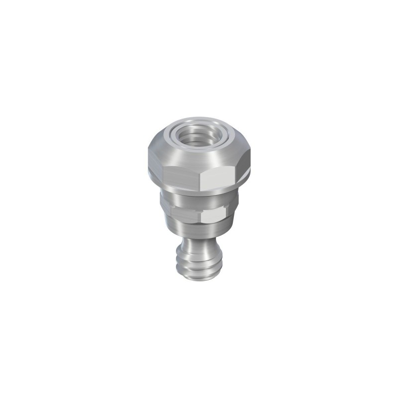 WN synOcta ® abutment