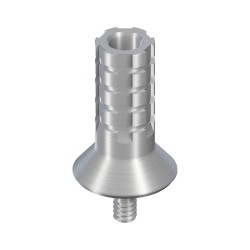 WT Temporary Abutment