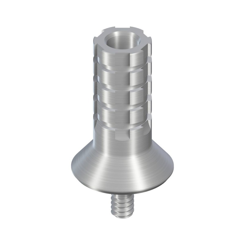 WT Temporary Abutment