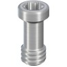 CI Basal screw