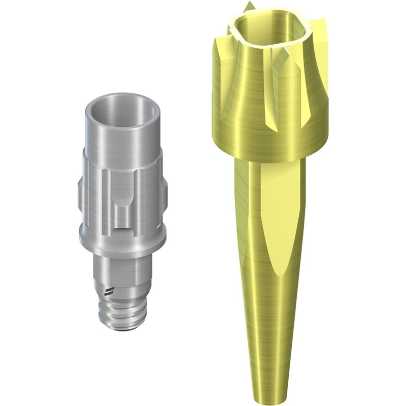 CI RD PUREbase Abutment AH5.5
