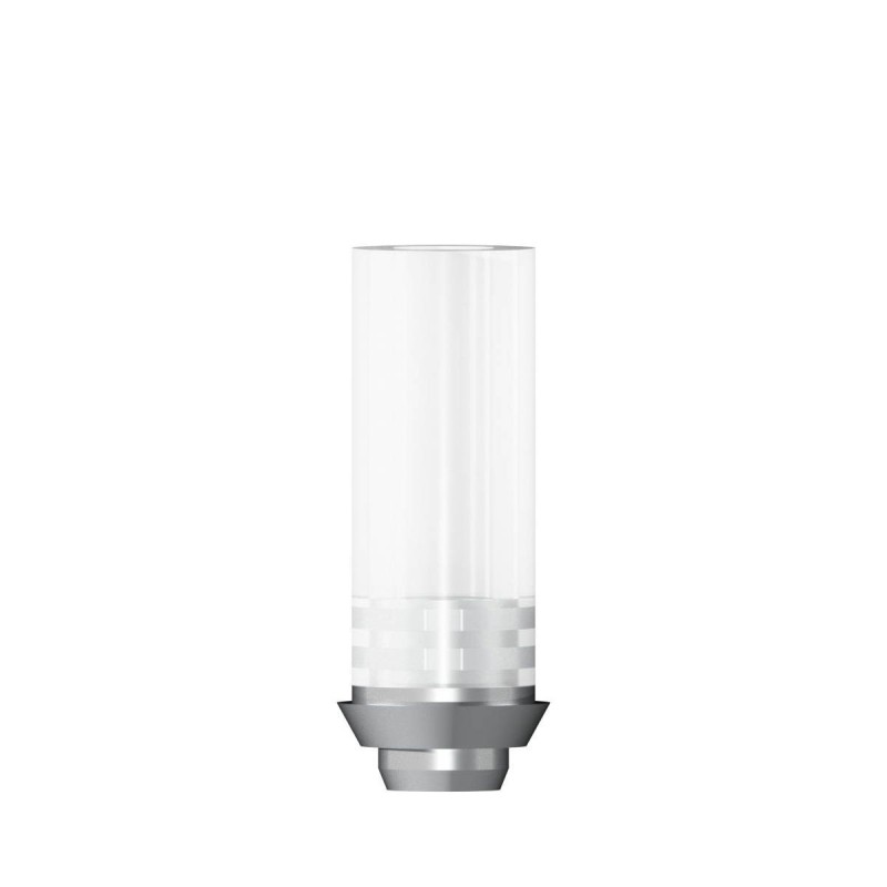 CoCr abutment rotating D 3