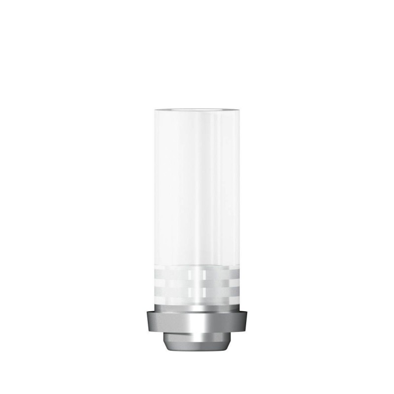 CoCr abutment rotating D 5