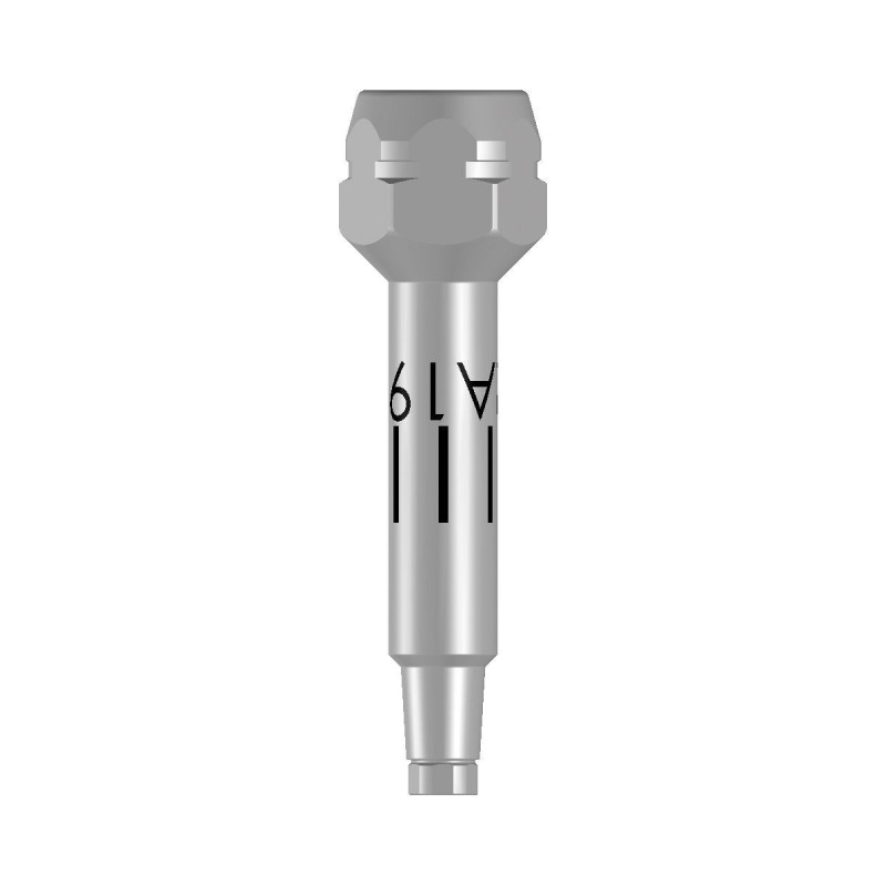 Insertion Tool -Ratchet 19mm