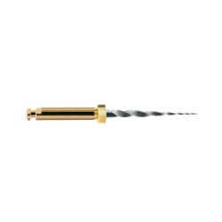 LIMAS PROTAPER GOLD SX 19mm. 6u. (A0410-X)