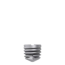 IMPLANTE TITAMAX WS MEDULAR TITANIUM