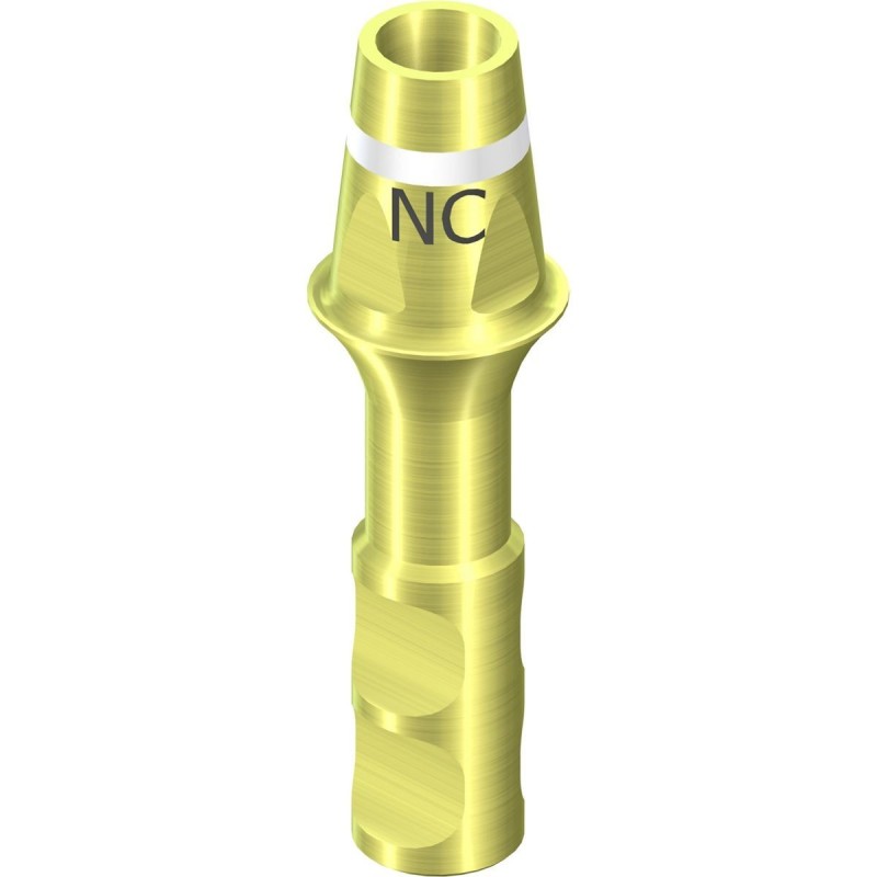 NC Cem. Abt-level Analog D 5.0