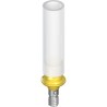 NNC Gold abutment