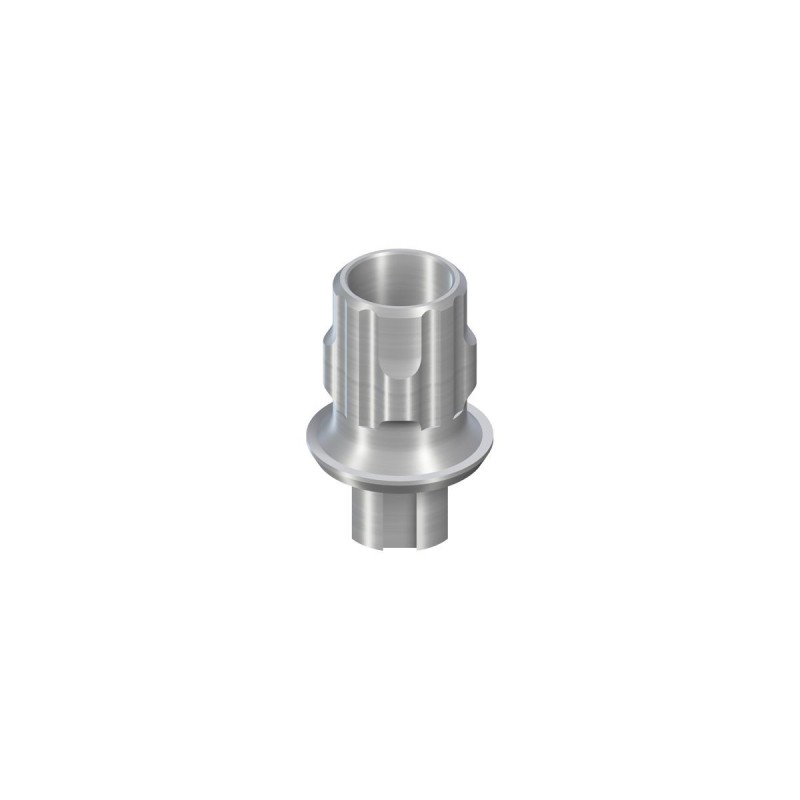 NNC Variobase Abutment