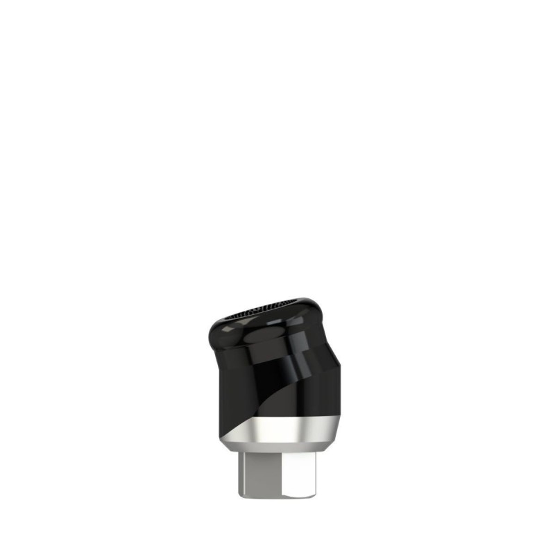 Novaloc Abut angled 15°Type1 D 3