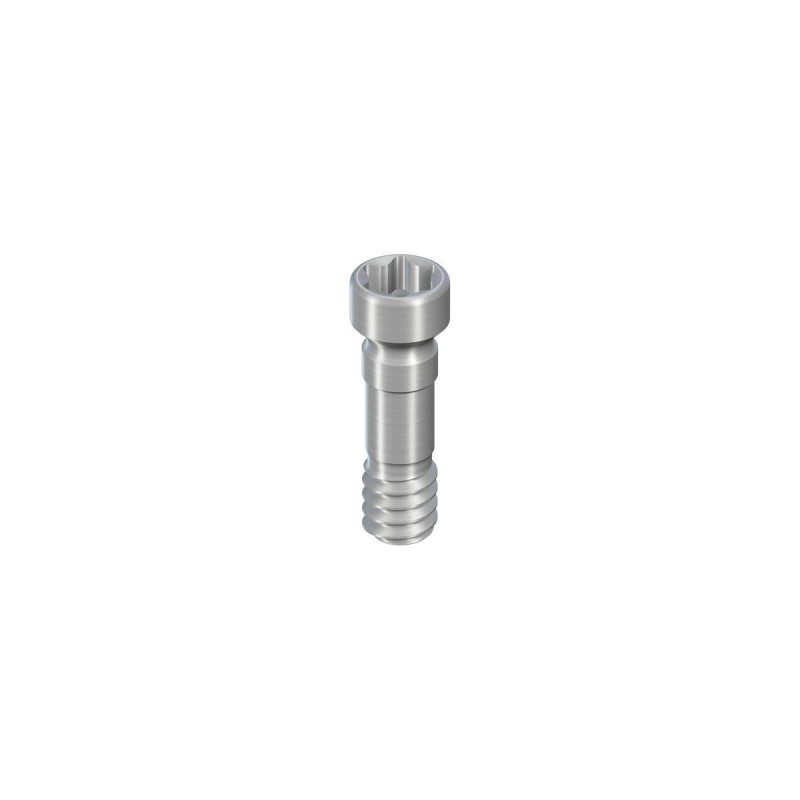 NT/RT/WT Basal Screw