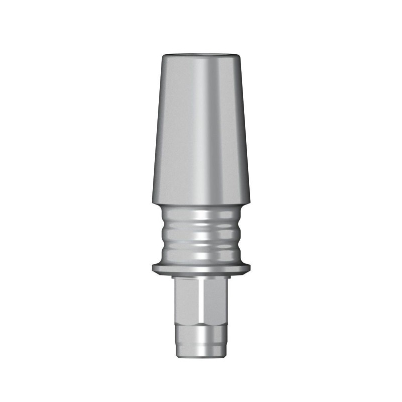 POC Abutment D 3