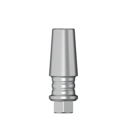 POC Abutment D 3
