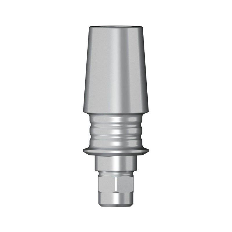 POC Abutment D 3