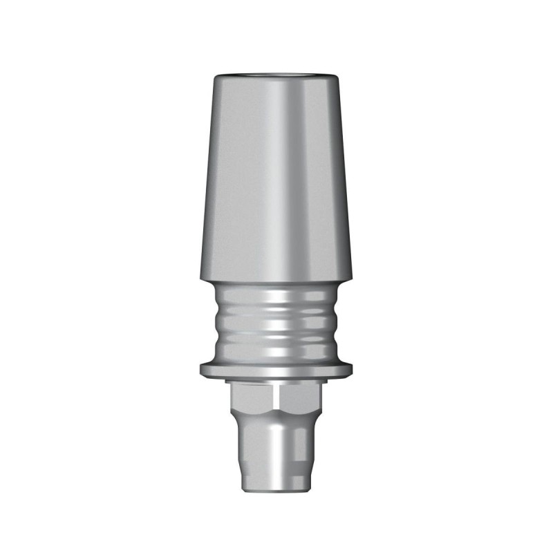 POC Abutment D 4