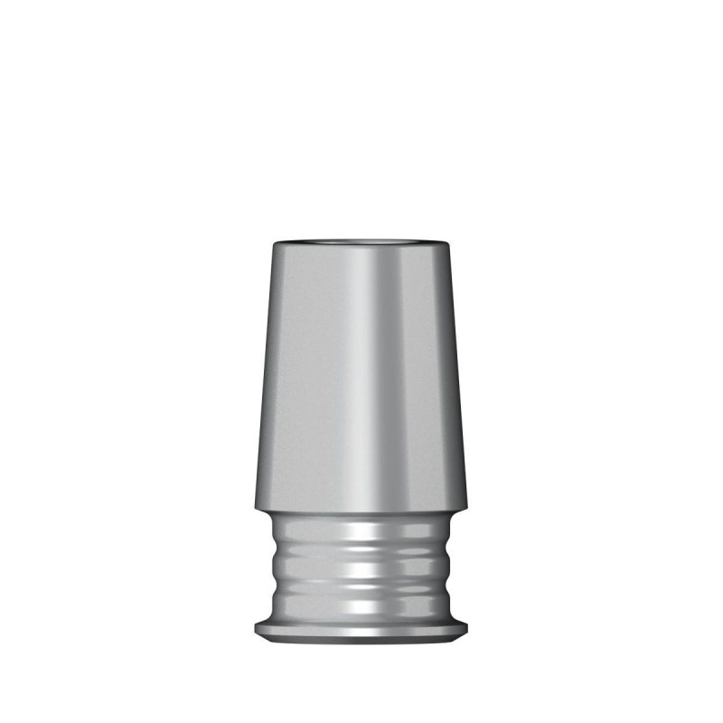 POC Abutment D 4