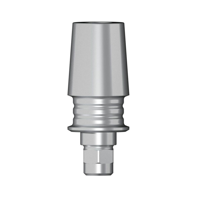 POC Abutment D 4