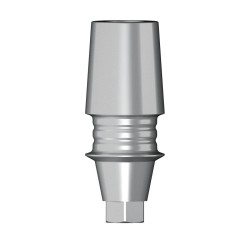 POC Abutment D 4