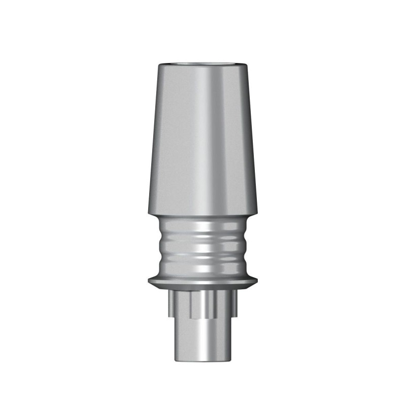 POC Abutment NP 3