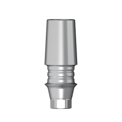 POC Abutment RP 4