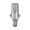 RB/WB Anatomic Abutment