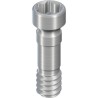RB/WB Basal Screw