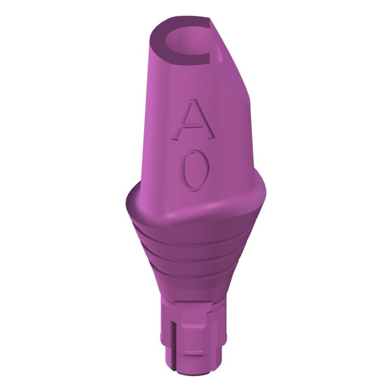 RC PLAN Anatomic Abt.