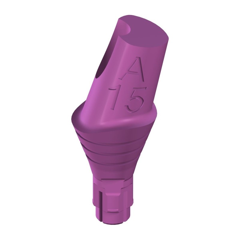 RC PLAN Anatomic Abt.