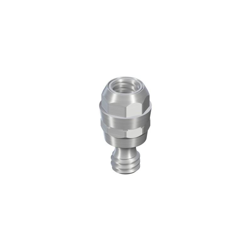 RN synOcta®  abutment