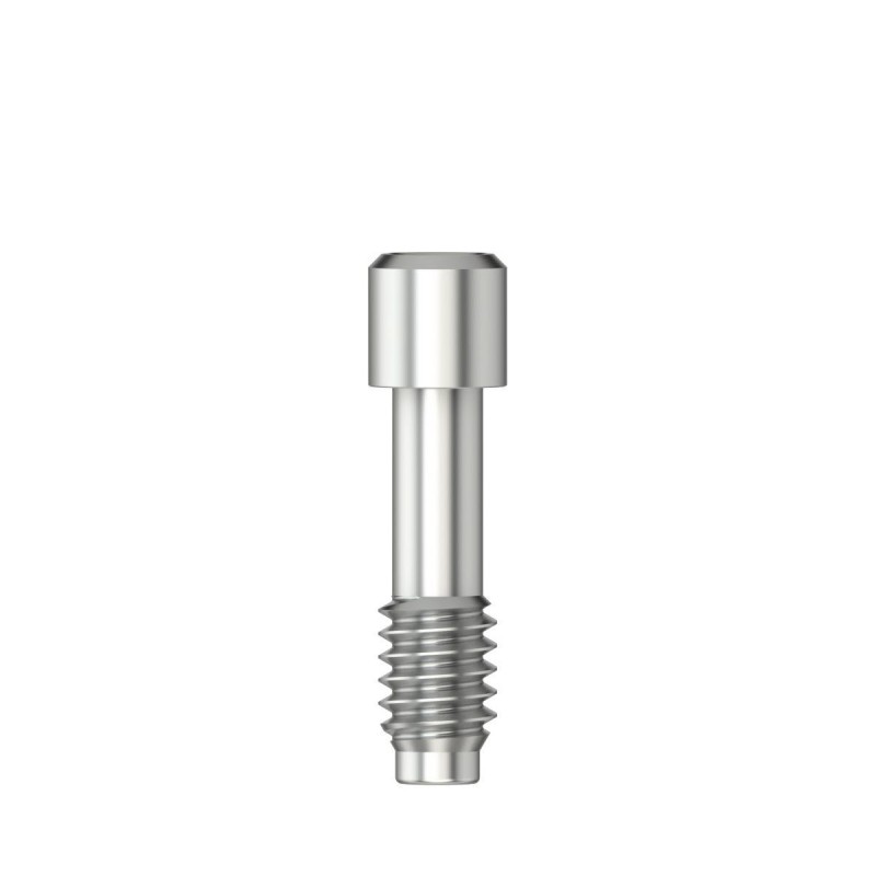 Scanbody retention screw Hex 1