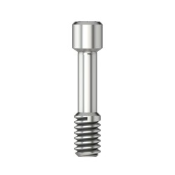 Scanbody retention screw Hex 1