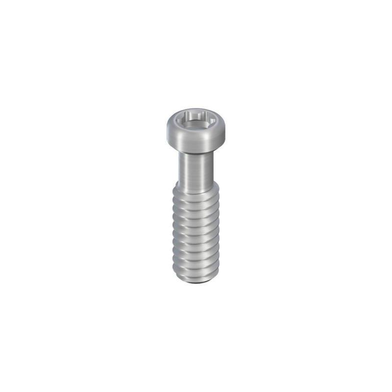 SCS occlusal screw