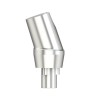Solid abutm angled 18°Type1 WP 5