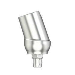 Solid abutm angled 18°Type1D5