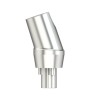 Solid abutm angled 18°Type2 WP 5