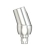 Solid abutment angled 18° Type 2 D 4