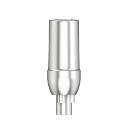 Solid abutment straight NP 3