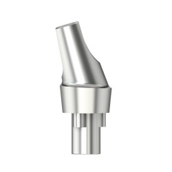 Standardabutm angl16°Type1RP4