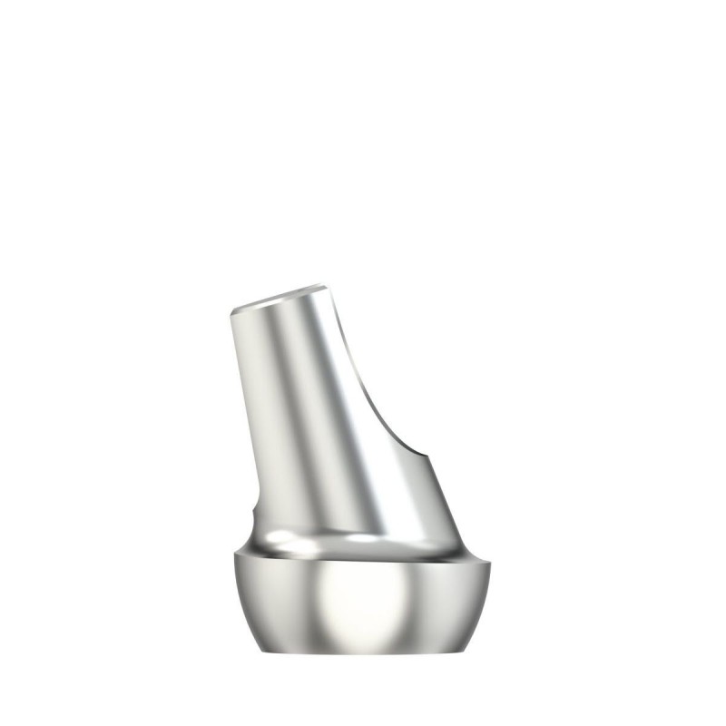 Standardabutm angl16°Type1WP5