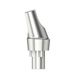 Standardabutm angl16°Type2RP4