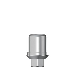 Ti base Zirconium abutment D 3