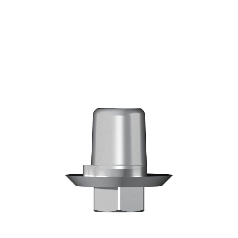 Ti base Zirconium abutment D 5