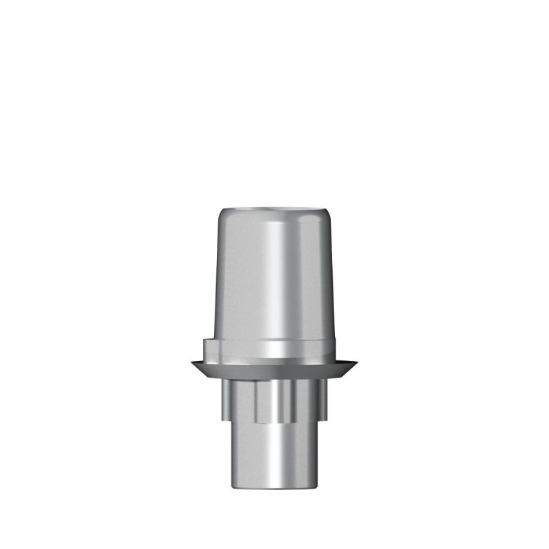 Ti base Zirconium abutment NP 3