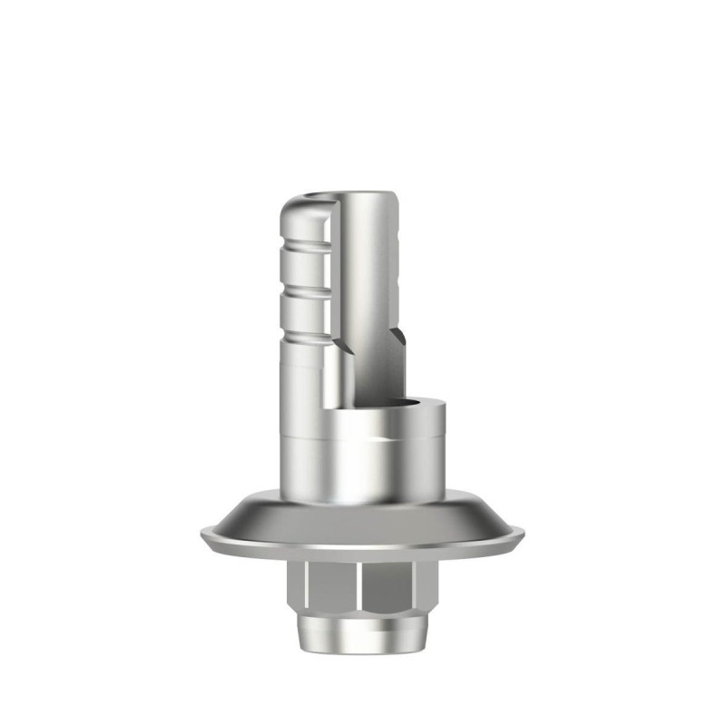 Ti-basis ASC Flex type1/SF WN 6